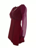 Glitter Mesh Long Sleeve Mini Dress (6)