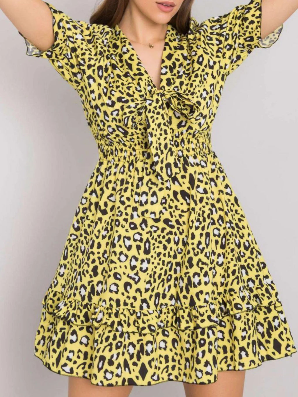 Leopard Print Tie Front Short Sleeve Mini Dress (6)