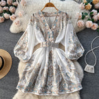 Printed Lantern Sleeve Midi Dress photo 11