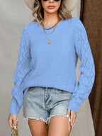 Openwork Round Neck Raglan Sleeve Sweater (28)