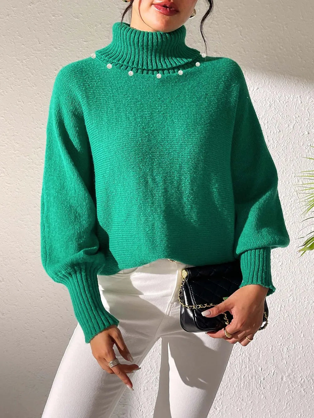 Turtleneck Long Sleeve Sweater (17)