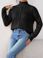Center Seam Detail Turtleneck Sweater (14)