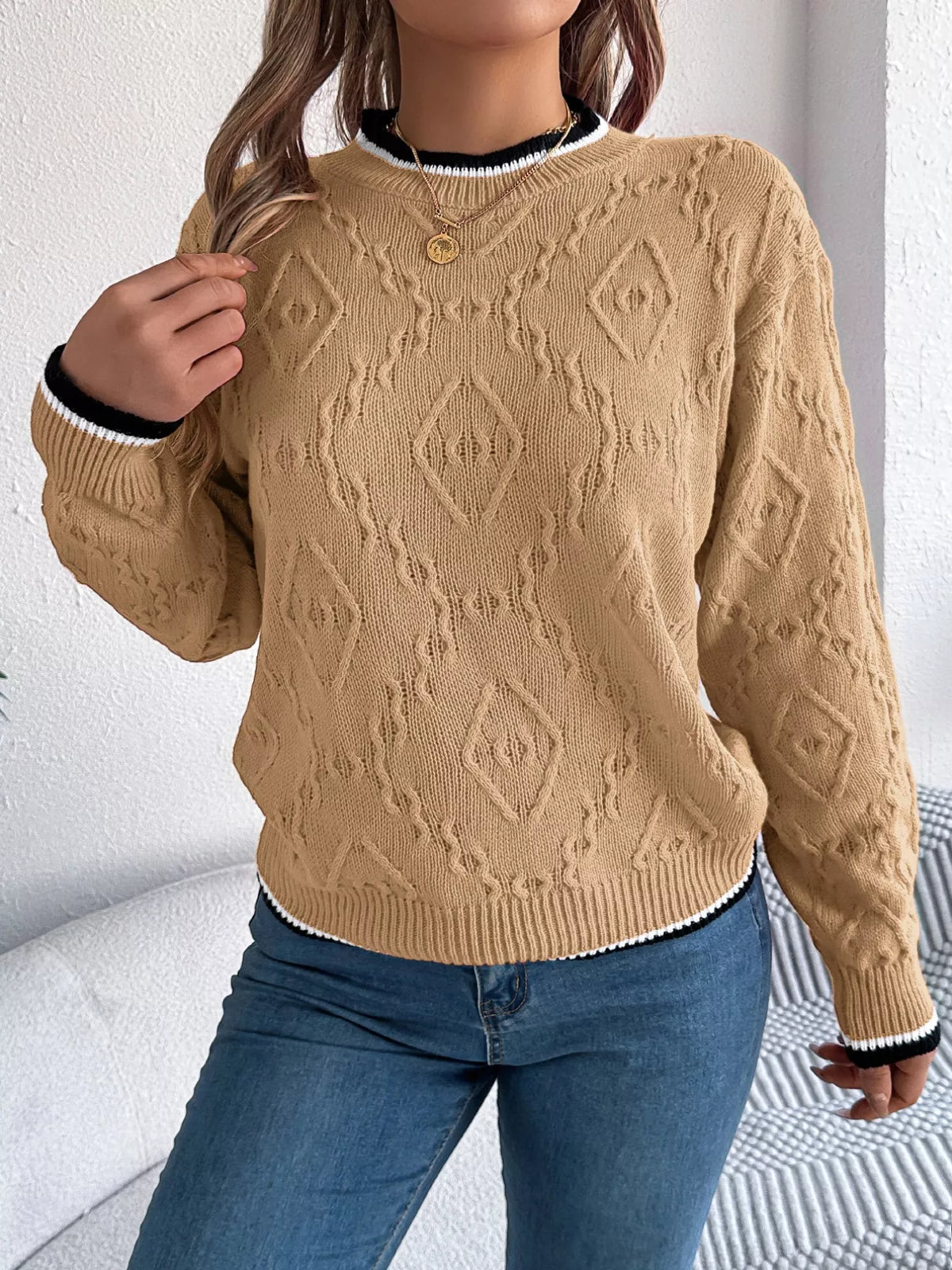 Contrast Trim Round Neck Sweater (10)