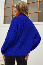 Cable-knit Turtle Neck Long Sleeve Sweater (16)