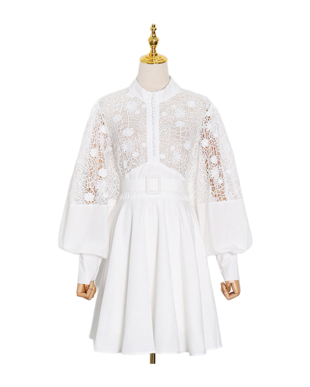 Stand Collar Lantern Sleeve Lace Perspective Short Dress photo 2