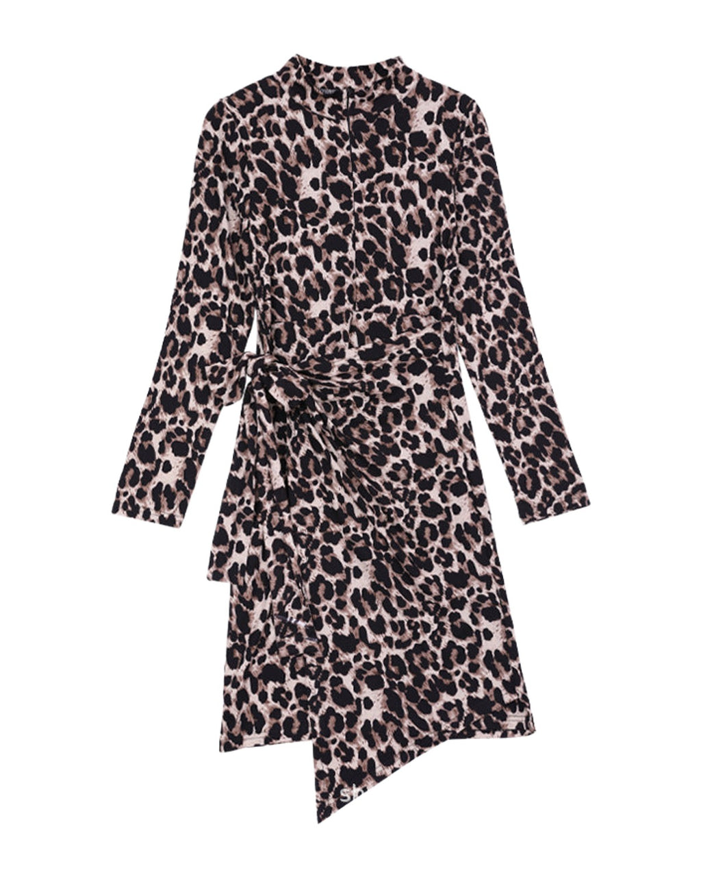 Half Turtleneck Leopard Print Dress photo 7