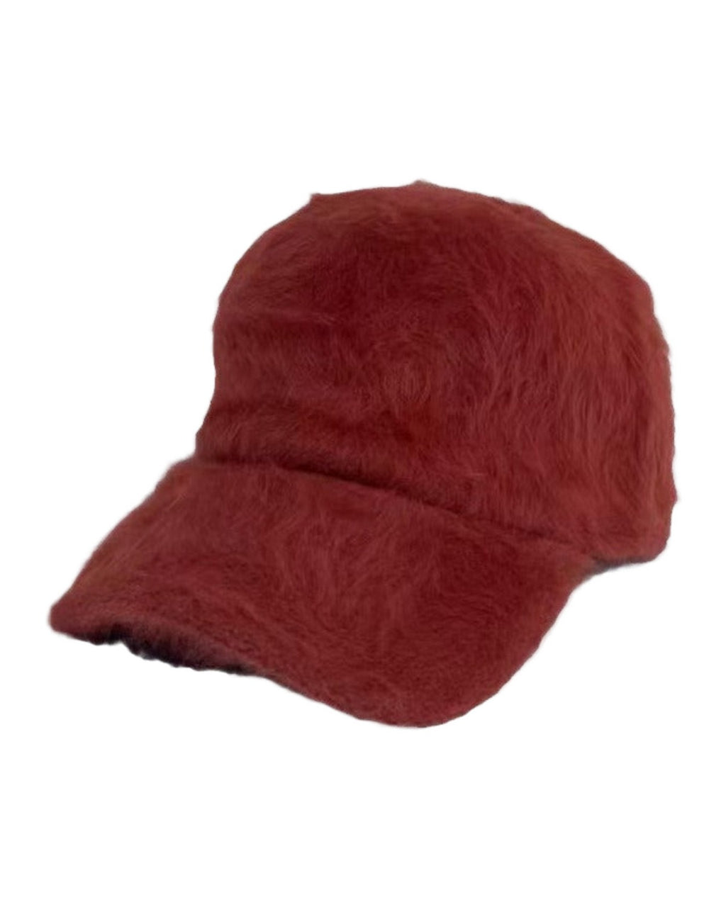 Simple Plush Baseball Cap Warm photo 1