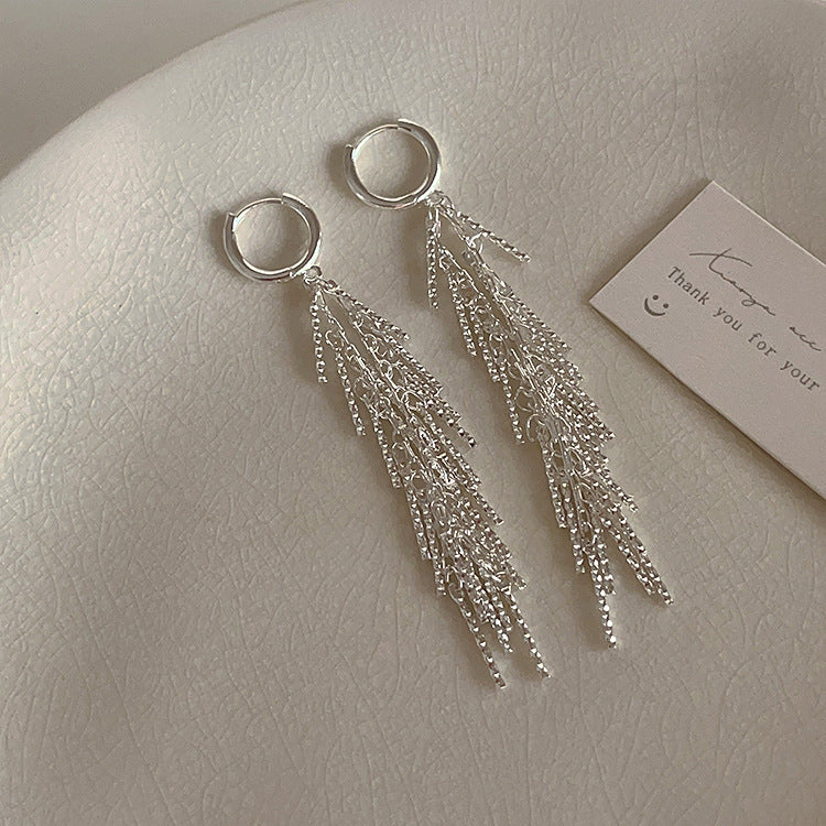 All-matching Silver Tassel Earrings photo 1