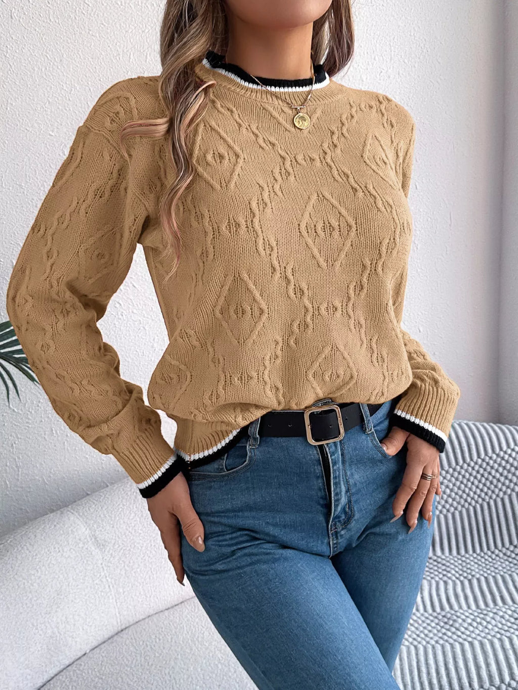 Contrast Trim Round Neck Sweater (9)