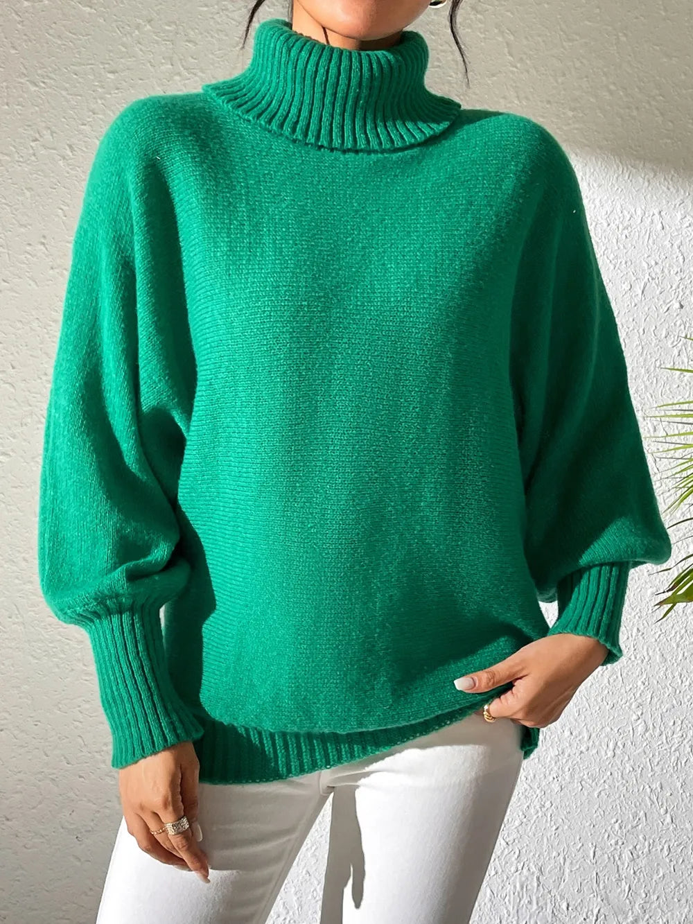 Turtleneck Long Sleeve Sweater (10)