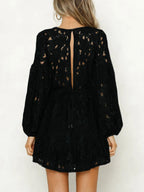 Lace V-neck Long Sleeve Mini Dress (10)