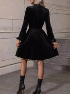Velvet High Neck Long Sleeve A-line Dress (10)
