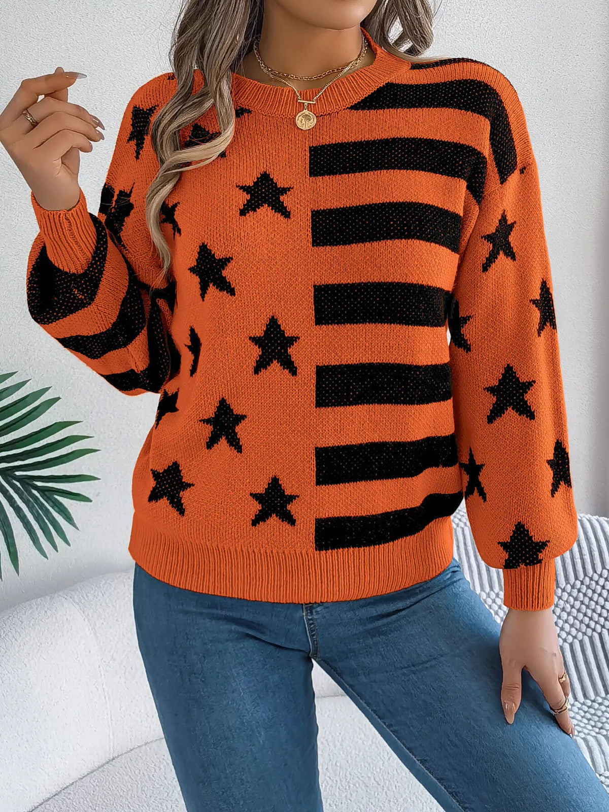 Stars Stripes Pattern Casual Round Neck Sweater (14)
