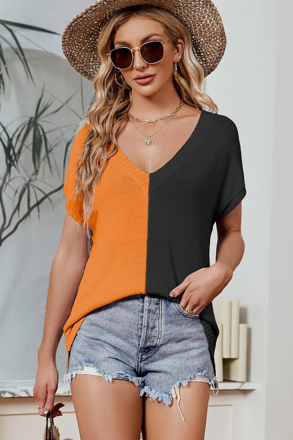 Block V-neck Short Sleeve Knit Top (3)