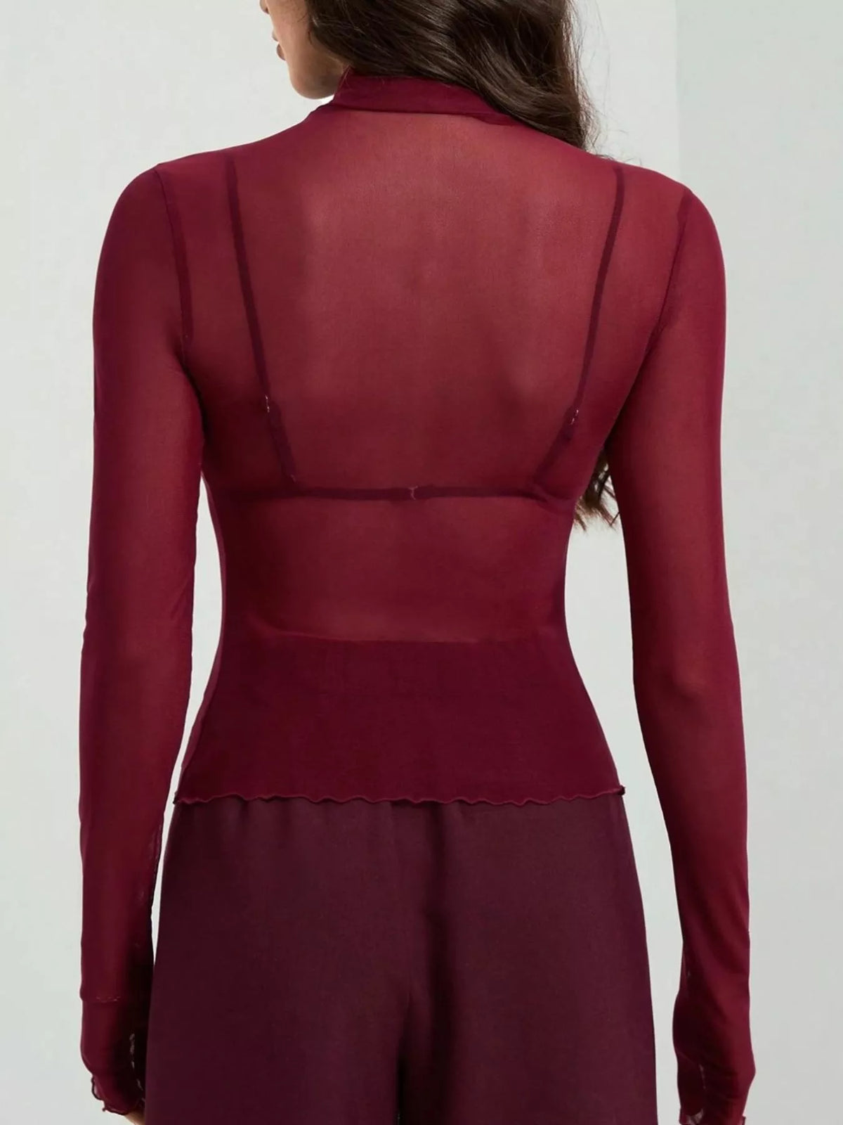 Sheer Mesh Turtleneck Top (5)