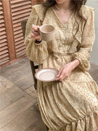 Retro Elegance Chiffon Midi Dress photo 1
