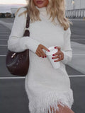 Fringe Turtleneck Long Sleeve Sweater Dress