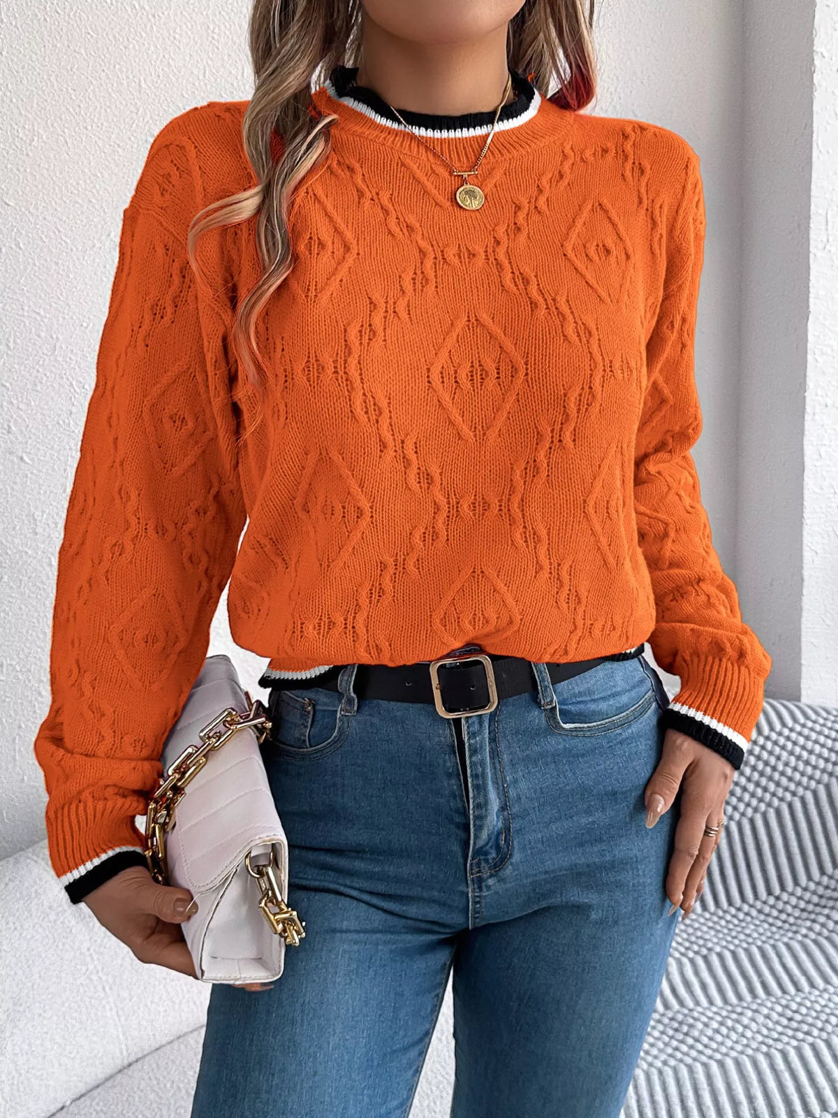 Contrast Trim Round Neck Sweater (18)