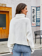Turtle Neck Cable-knit Sweater (2)