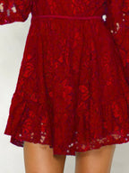 Lace V-neck Long Sleeve Mini Dress (7)