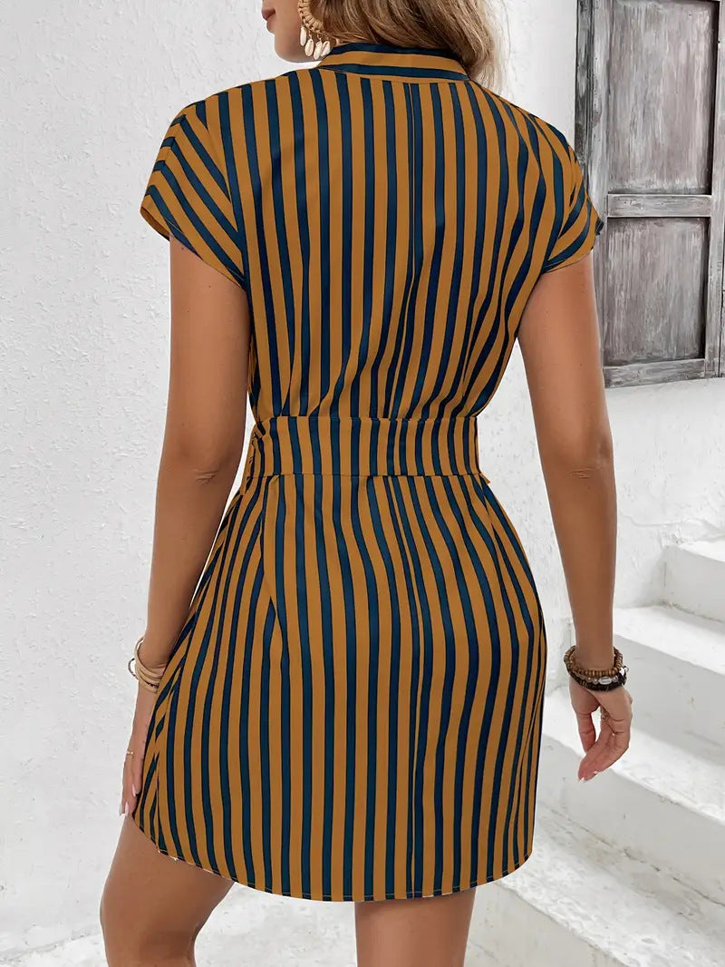 Striped Tie Waist Mini Dress (14)
