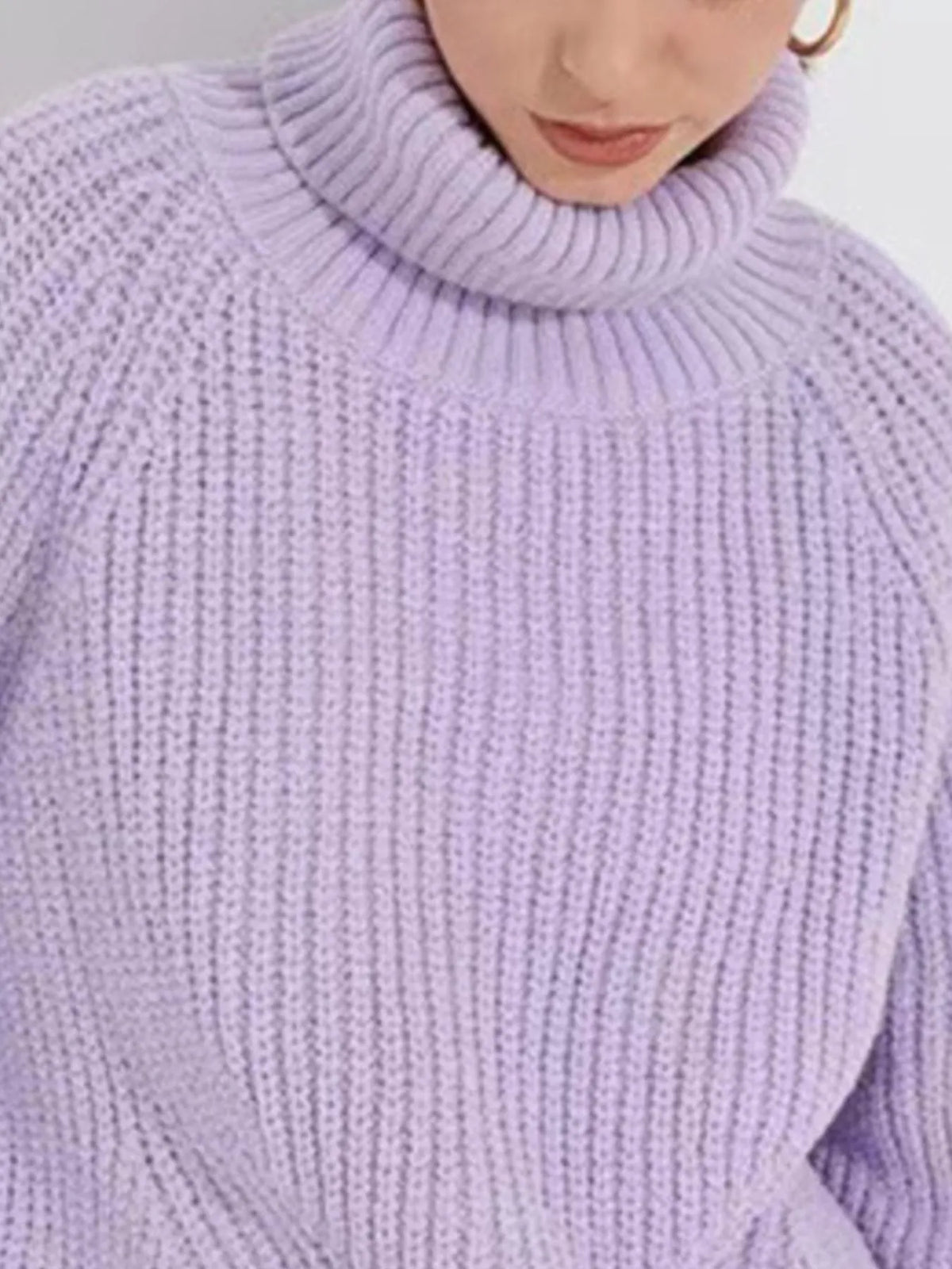 Turtleneck Long Sleeve Sweater (9)