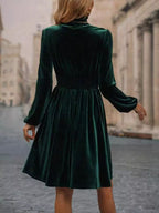 Velvet High Neck Long Sleeve A-line Dress (5)