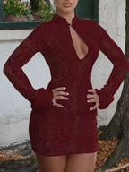 Lace Cutout Long Sleeve Mini Dress (22)