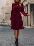 Velvet High Neck Long Sleeve A-line Dress (3)
