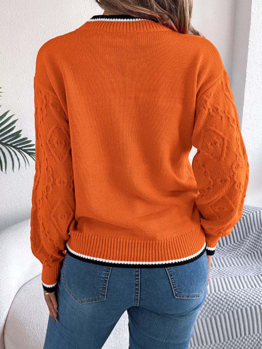 Contrast Trim Round Neck Sweater (14)