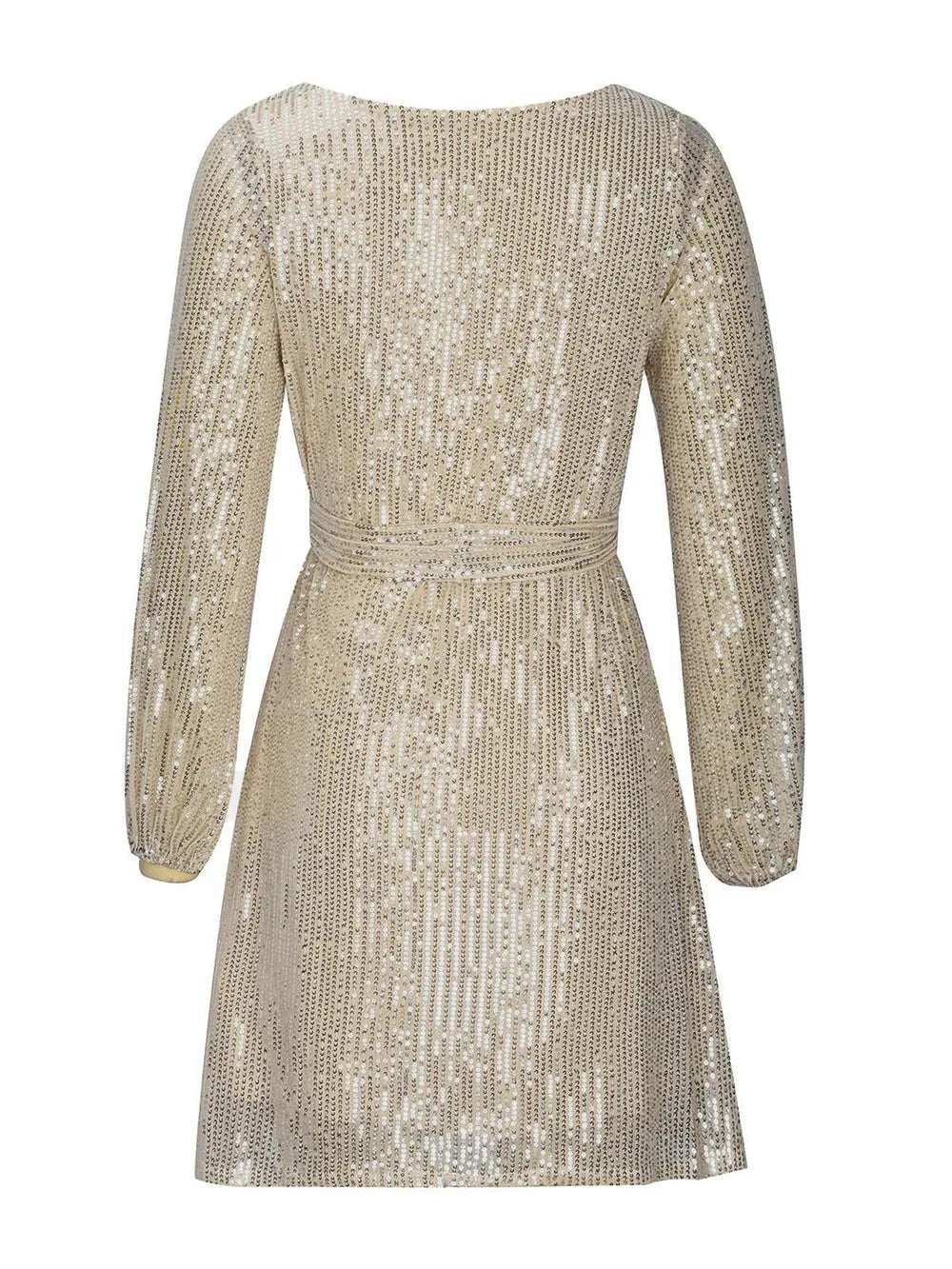 Sequin Tie Waist Long Sleeve Mini Dress (4)