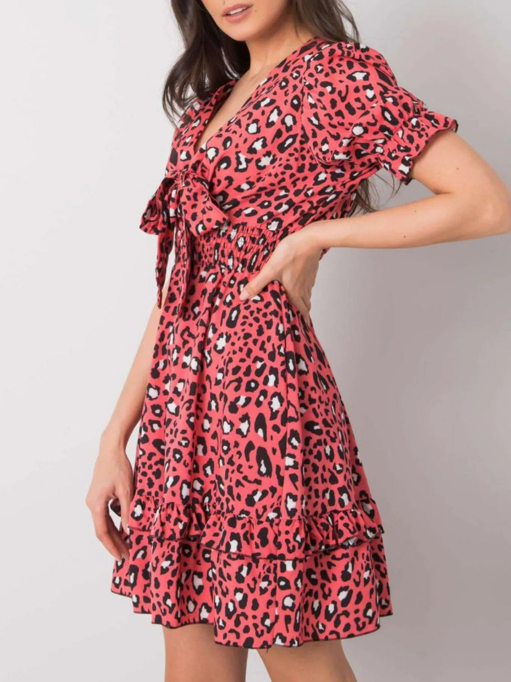 Leopard Print Tie Front Short Sleeve Mini Dress (4)